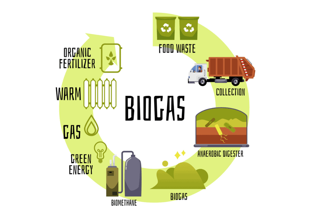 biofuels process