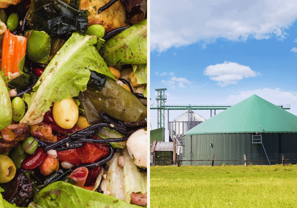 food waste and biogas generator