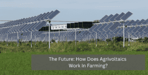 agrivoltaics in farming